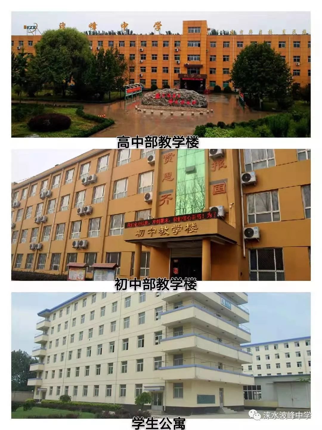 招生简章